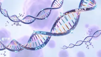 Genomic sequencing and understanding biological systems to selectively modifying them, provides a particularly relevant lens through which to view the ETF industry’s next phase of development. 