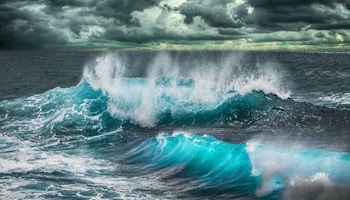 You want to be an Active Investment Manager, so look to beat the market