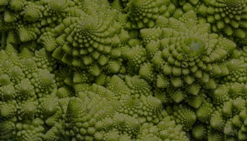 You want to be an Active Investment Manager